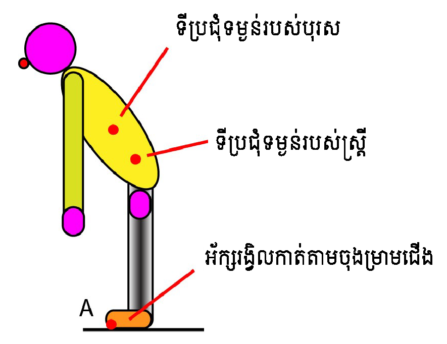 Barycenter